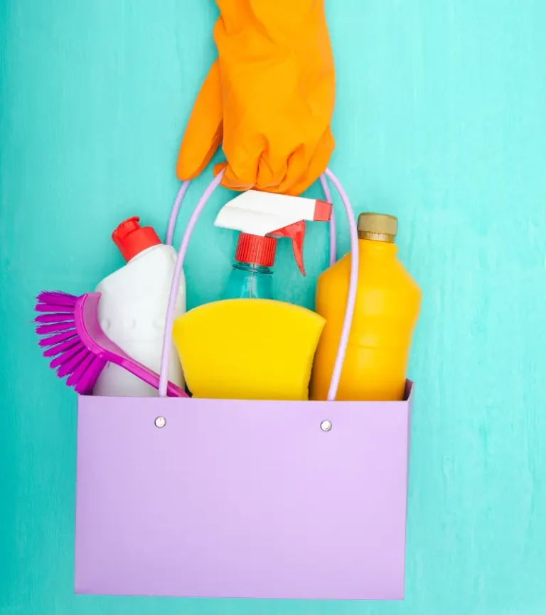 Regular Home Cleaning Bucket